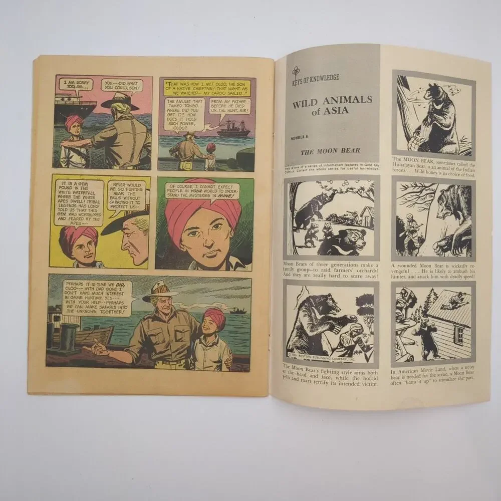 The Phantom #12 Gold Key Comics Silver 1965 Lee Falk Jungle Painted Cover FN VF